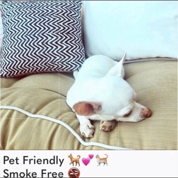 URBAN Outfitters very friendly tee -M New - Picture 7 of 9